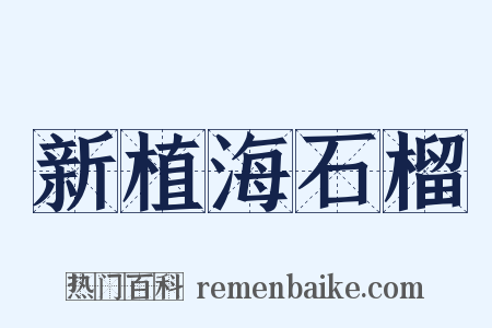 新植海石榴是什么意思的图片